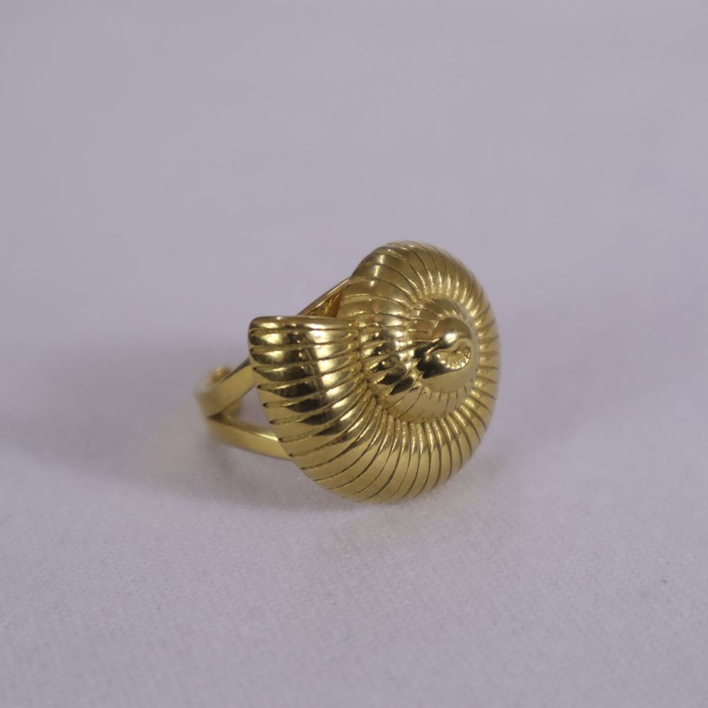 Anillo de concha marina - Image 3