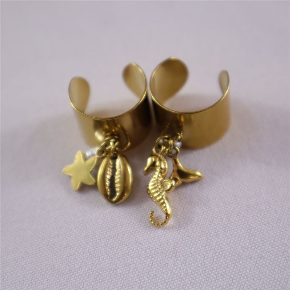 Anillo figuras